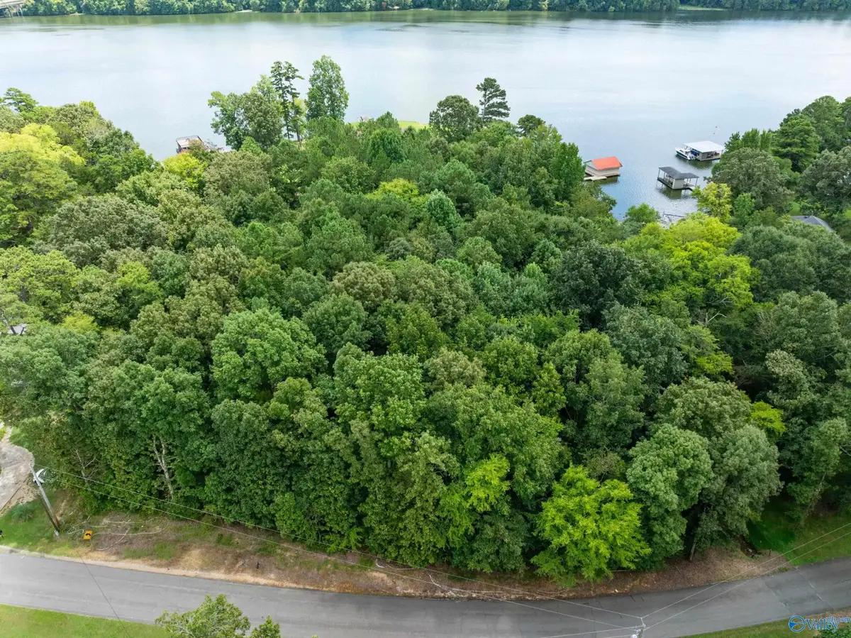 573 York Drive, Rogersville, AL 35652 - #1