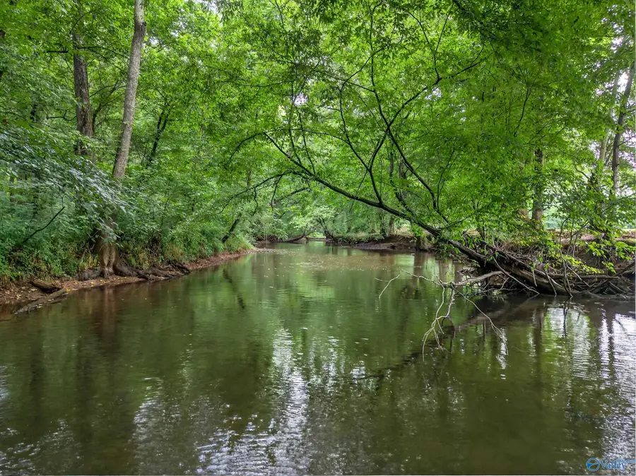 2605 Ready Section Road, Toney, AL 35773 - #3