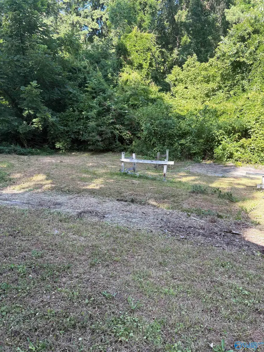 803 Beale Street, Attalla, AL 35954 - #2