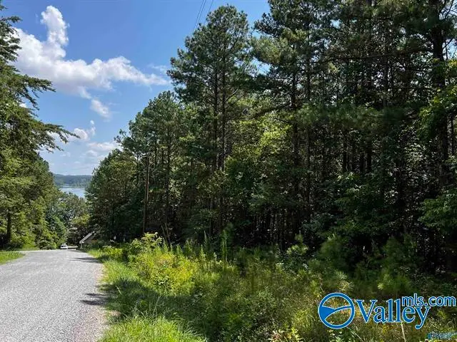 LOT 14 County Road 592, Leesburg, AL 35983 - #1