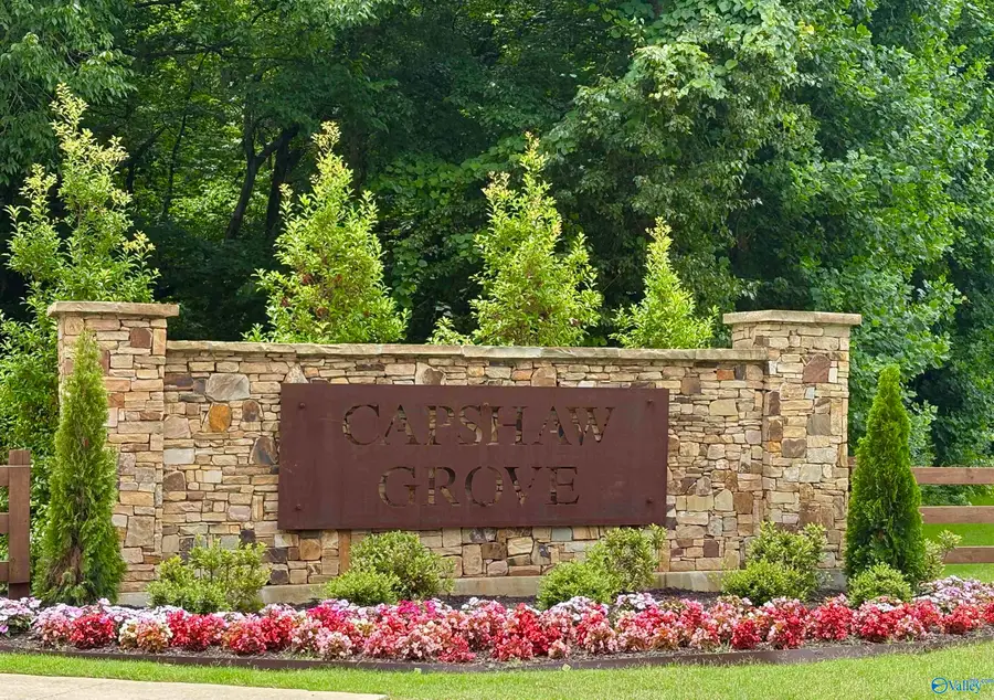14175 Wildflower Drive, Harvest, AL 35749 - #2