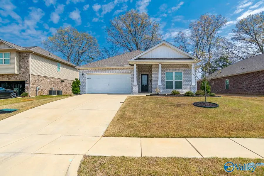 125 River Springs Court, New Market, AL 35761 - #3