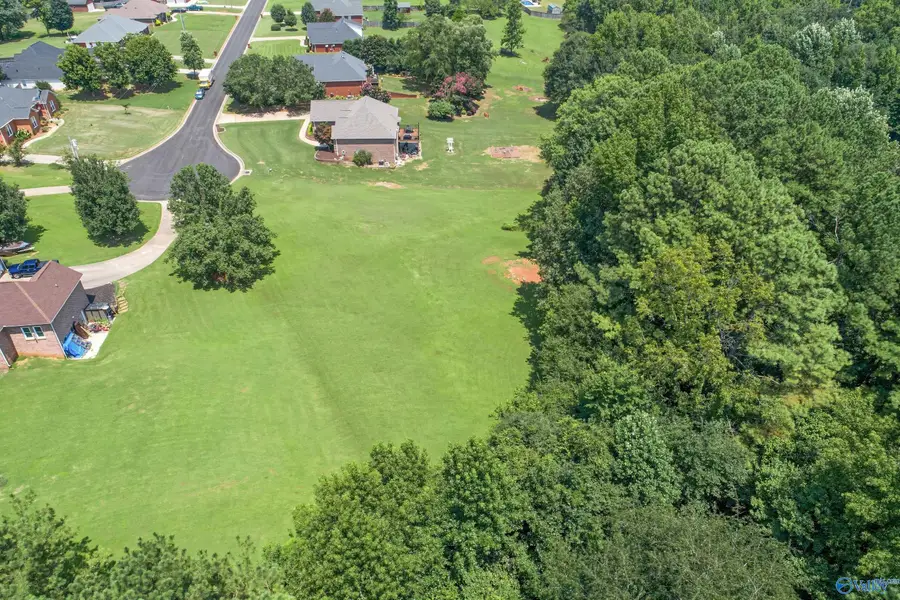 10 Blossom Lane, Athens, AL 35613 - #3