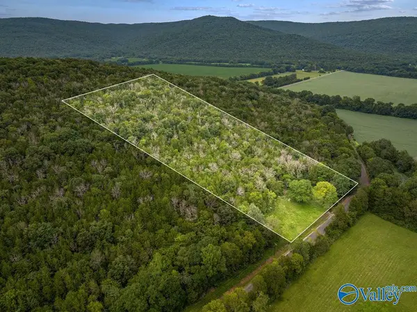 9 Acres County Road 171, Stevenson, AL 35772