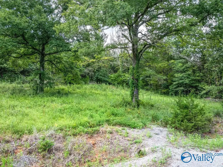 9 Acres County Road 171, Stevenson, AL 35772 - #2