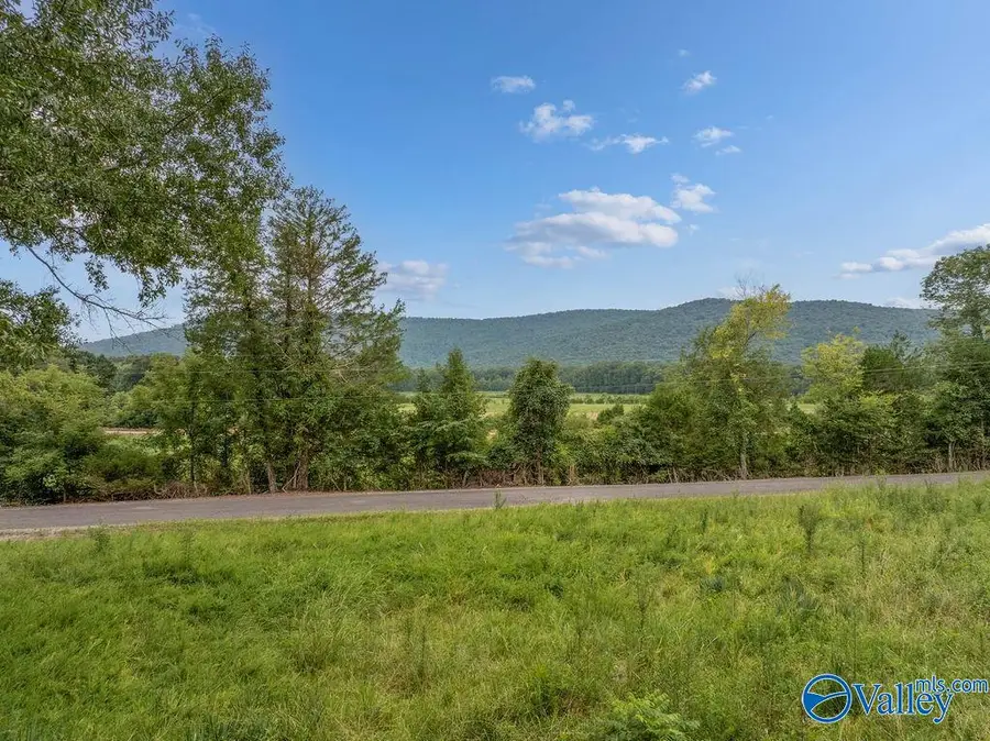 9 Acres County Road 171, Stevenson, AL 35772 - #3