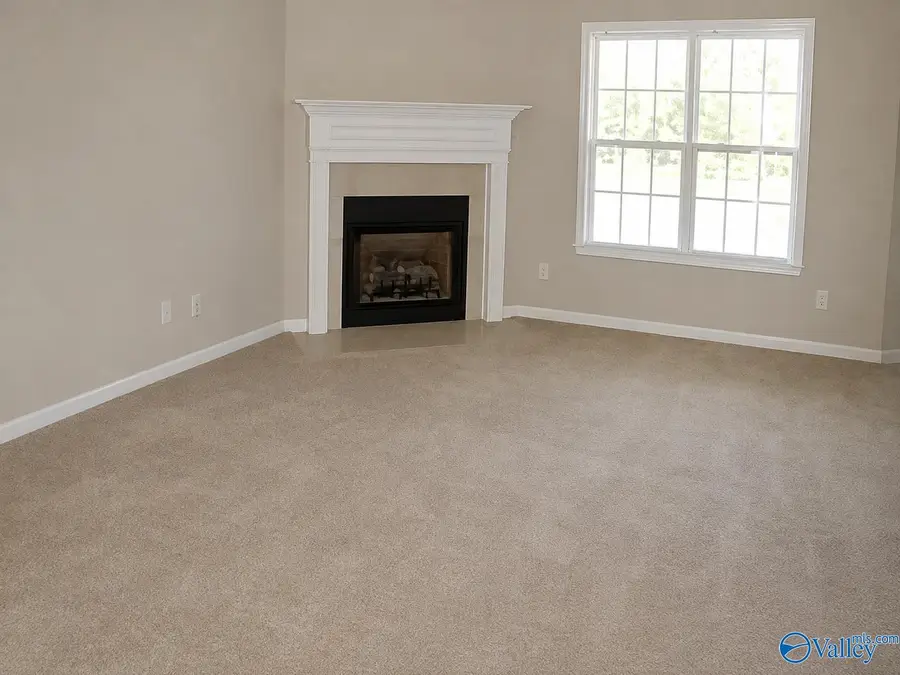 208 Wild Berry Lane, Harvest, AL 35749 - #3