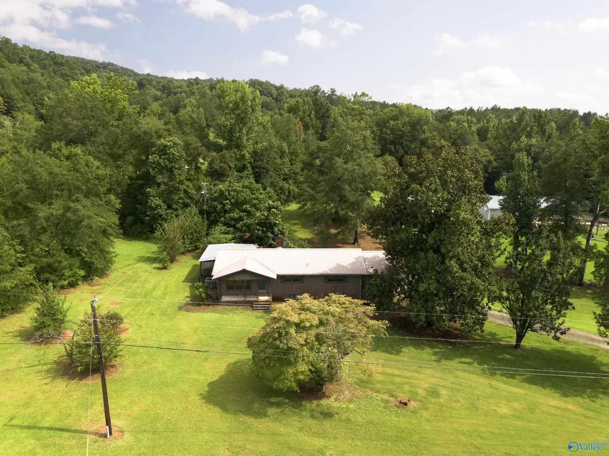 9950 Alabama Highway 91, Hanceville, AL 35077 - #1