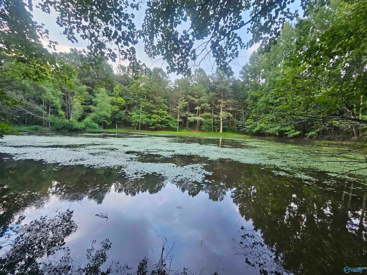 .714 County Road 72, Mentone, AL 35984 - #1