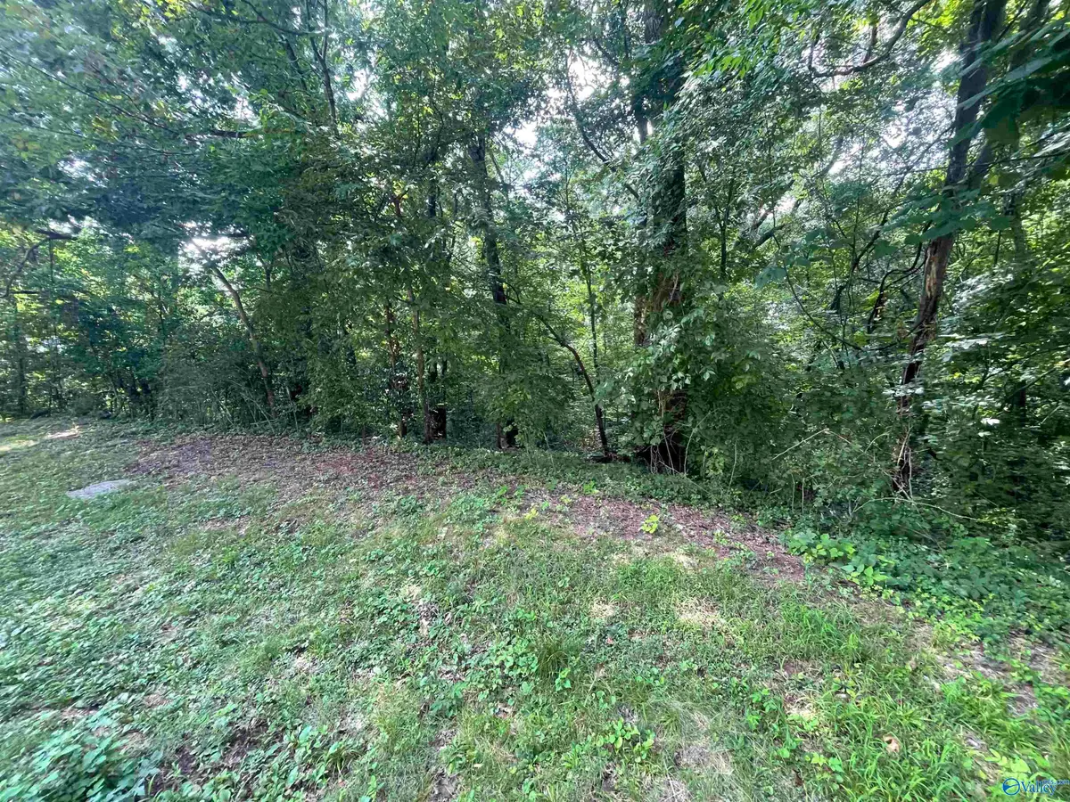 11 Dora Drive, Florence, AL 35633 - #1