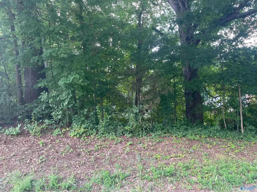 11 Dora Drive, Florence, AL 35633 - #2