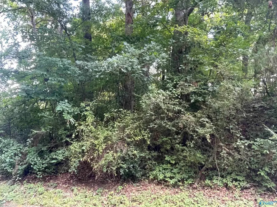 11 Dora Drive, Florence, AL 35633 - #3