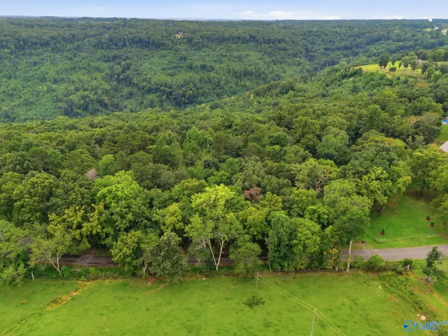 556 Edwards Circle, Laceys Spring, AL 35754 - #3