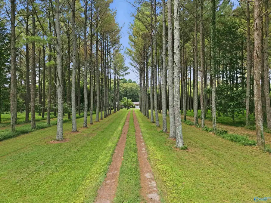 328 Old Highway 431, Owens Cross Roads, AL 35763 - #3