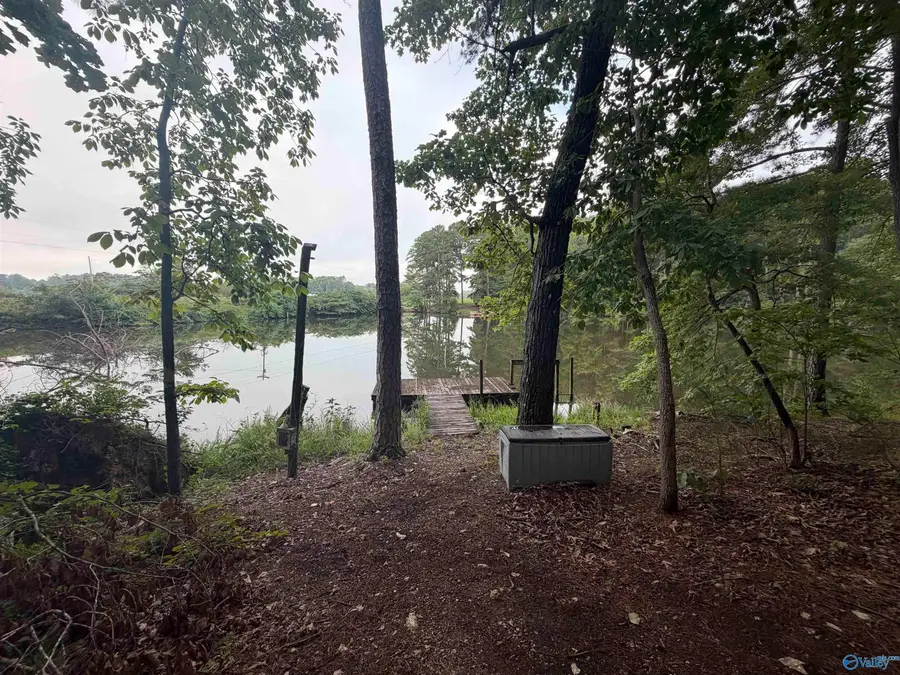 3771 County Road 44, Leesburg, AL 35983 - #2