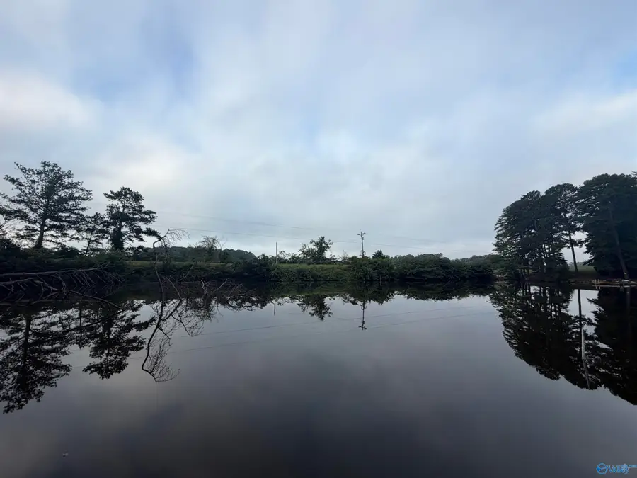 3771 County Road 44, Leesburg, AL 35983 - #3