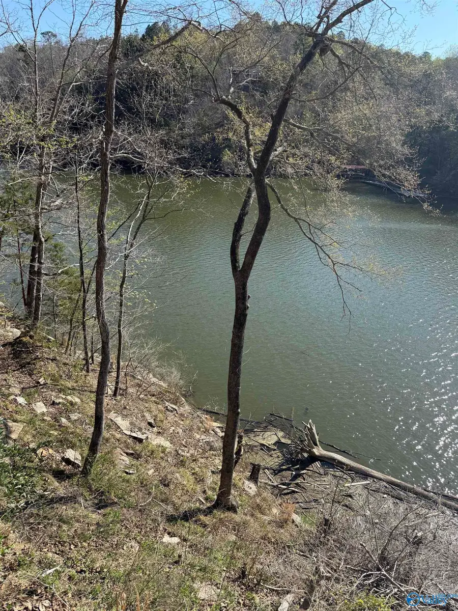 Lot  11 County Road 3782, Arley, AL 35541 - #3