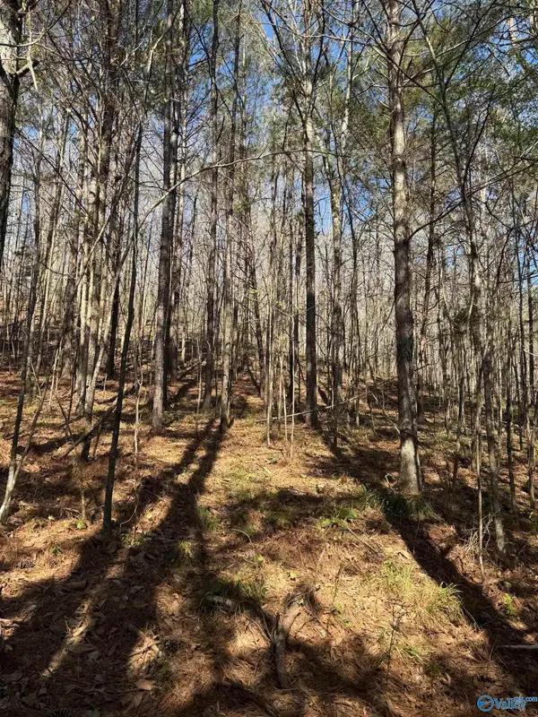 lot 11 A County Road 3782, Arley, AL 35541