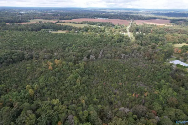29.57 Ac County Road 155, Flat Rock, AL 35966
