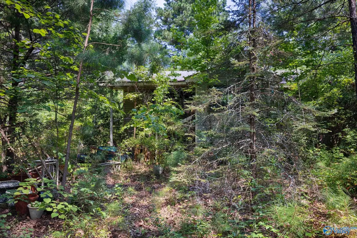 199 Williams Road, Toney, AL 35773 - #1
