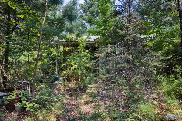 199 Williams Road, Toney, AL 35773