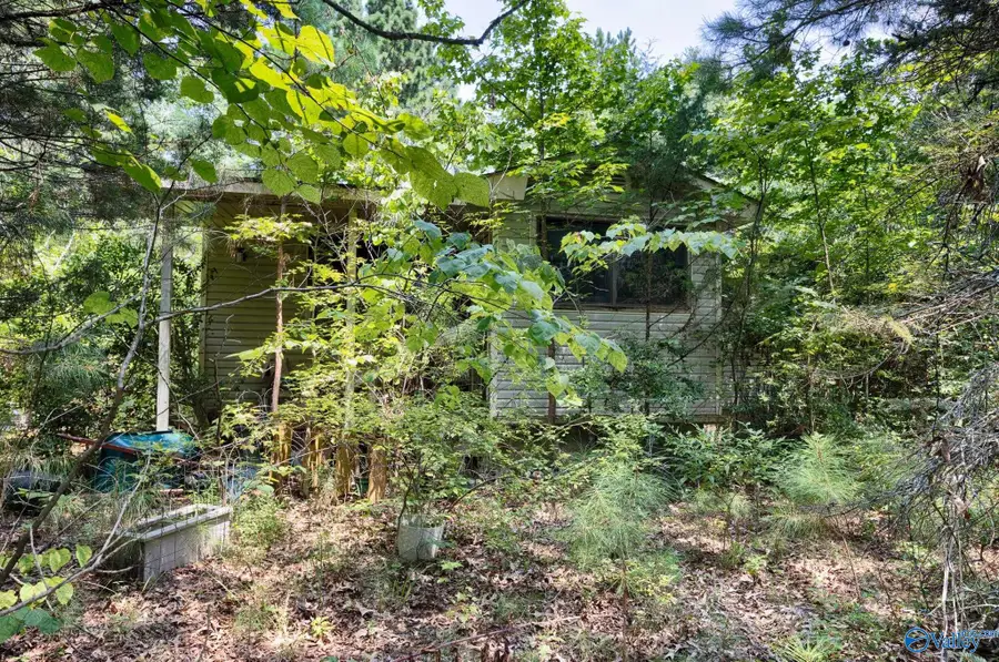199 Williams Road, Toney, AL 35773 - #2