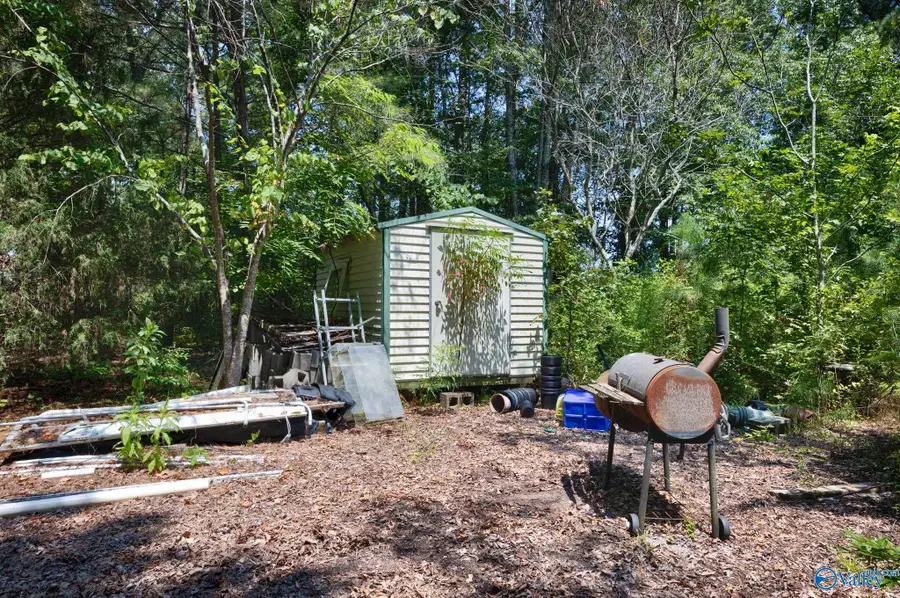 199 Williams Road, Toney, AL 35773 - #3