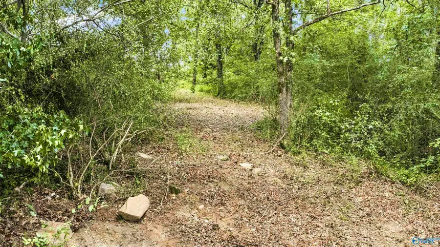 120 acres County Road 43, Fort Payne, AL 35967 - #2