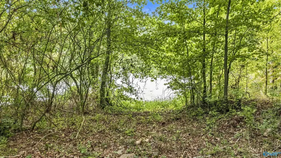 120 acres County Road 43, Fort Payne, AL 35967 - #3