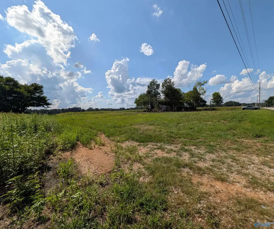 386 Morris Road, Toney, AL 35773 - #2