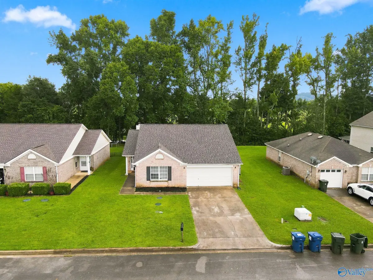 158 Carillo Lane, Toney, AL 35773 - #1