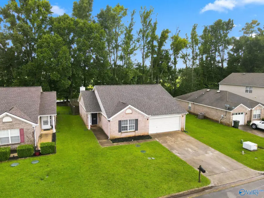 158 Carillo Lane, Toney, AL 35773 - #2