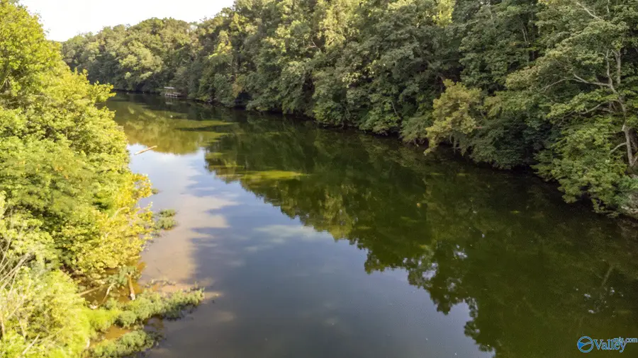 100 Bluewater Landing Road, Rogersville, AL 35652 - #3
