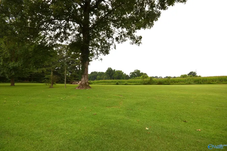4433 County Road 1223, Vinemont, AL 35179 - #3