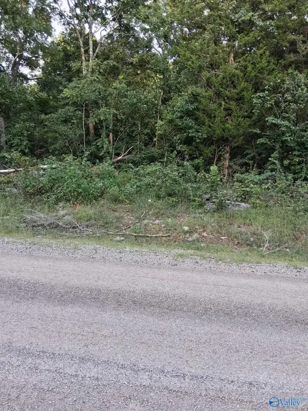 2.0 acres County Road 84, Danville, AL 35619