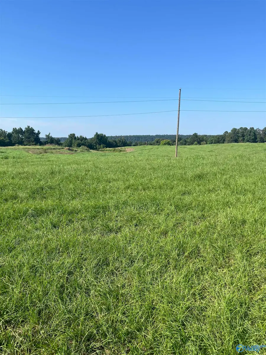 Lot 1A-7.3 Acre Latham, Eva, AL 35621 - #2