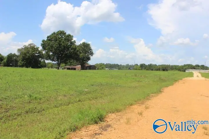 100 Fortner Road, Rainsville, AL 35986 - #1