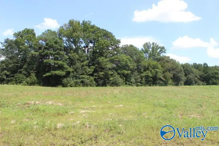 100 Fortner Road, Rainsville, AL 35986 - #3