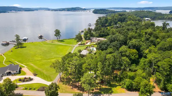 860 Buck Island Drive, Guntersville, AL 35976