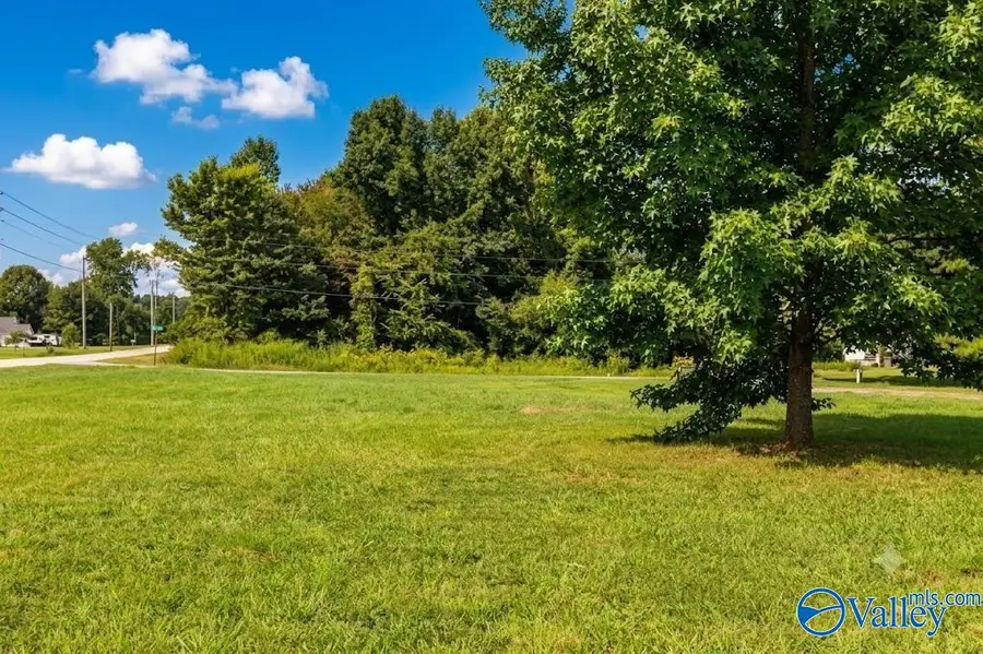 9989 Snake Road, Athens, AL 35611 - #3