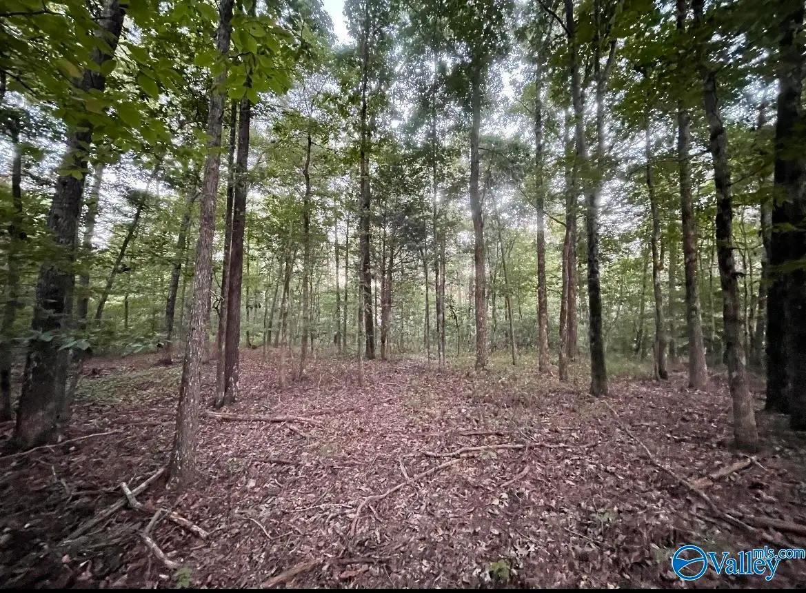 418 Manchester Drive, Guntersville, AL 35976 - #1