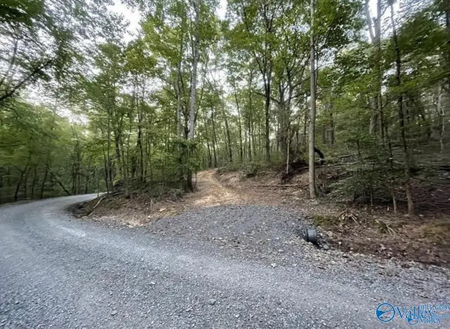 418 Manchester Drive, Guntersville, AL 35976 - #3