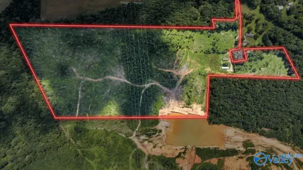569 Bob Haas Road, Hollywood, AL 35752