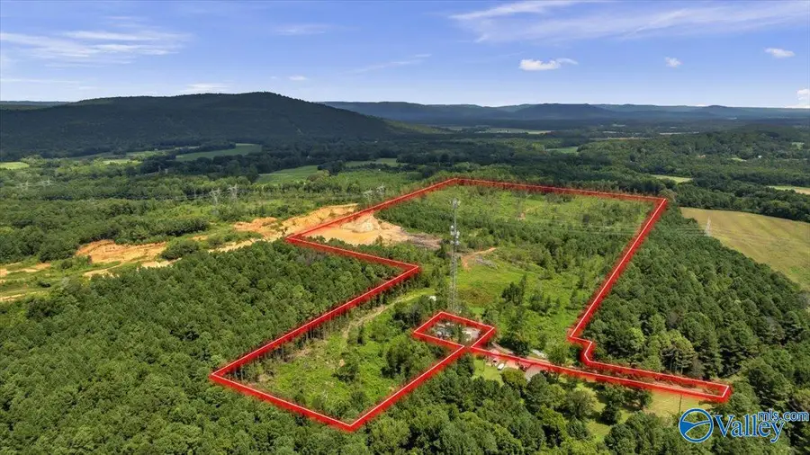 569 Bob Haas Road, Hollywood, AL 35752 - #3