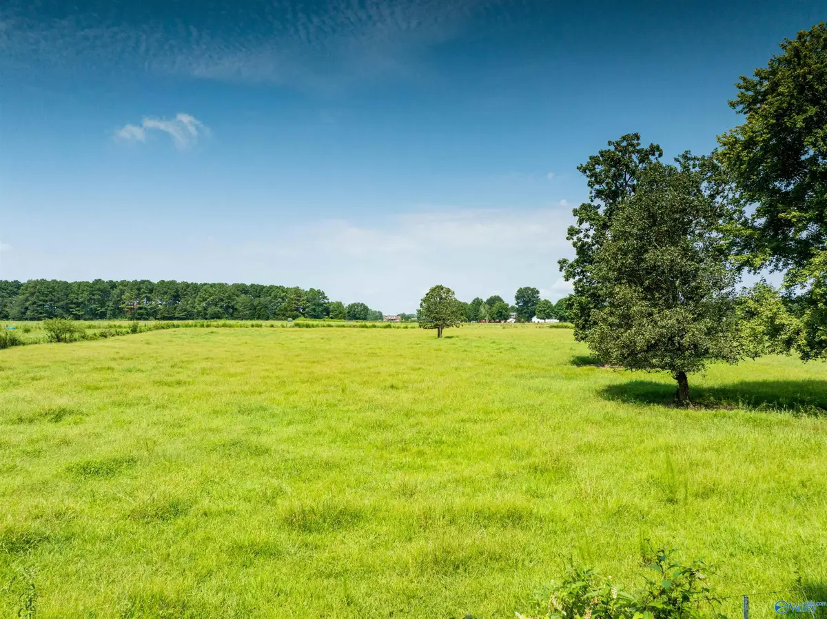 19.5 Thach Road, Athens, AL 35613 - #1