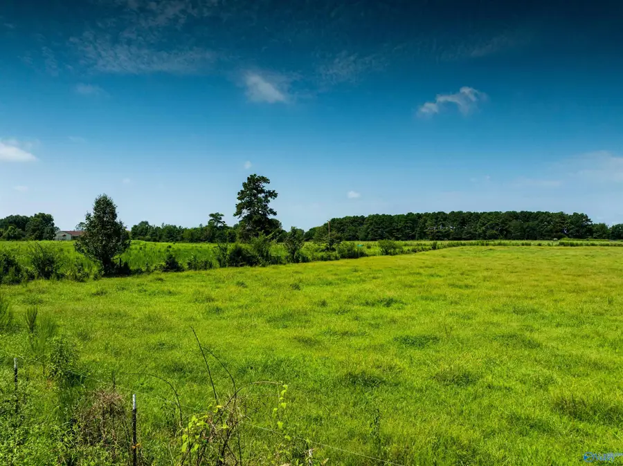 19.5 Thach Road, Athens, AL 35613 - #2