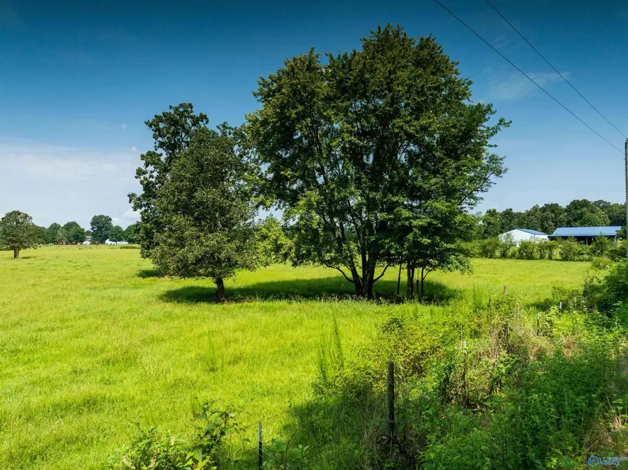 19.5 Thach Road, Athens, AL 35613 - #3