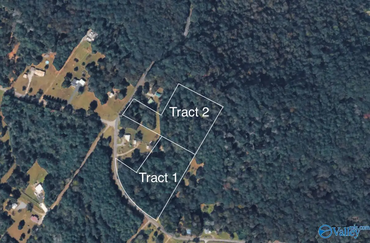 Tract 1 Wyeth Mountain Road, Guntersville, AL 35976 - #1