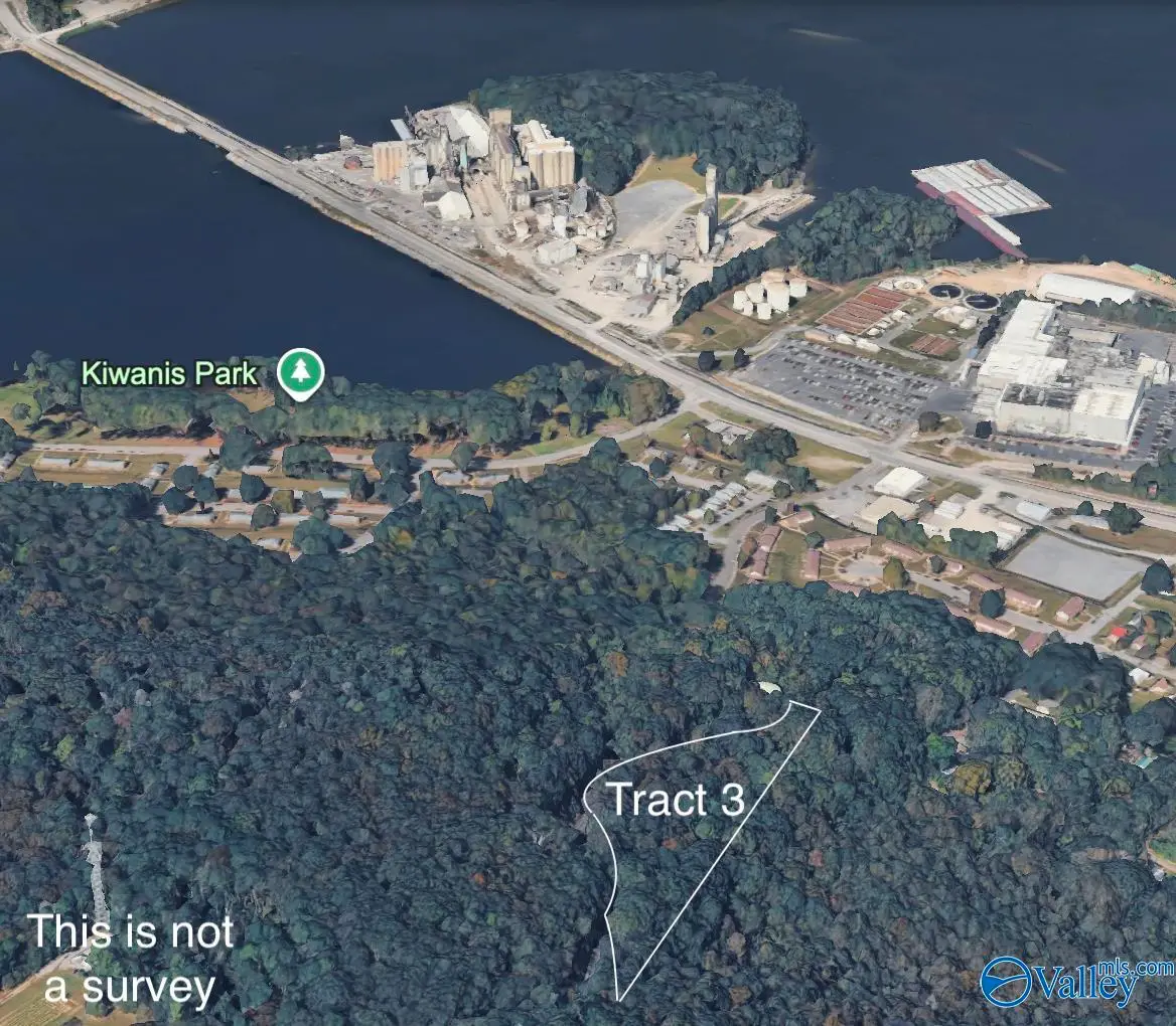 Tract 3 Wyeth Mountain Road, Guntersville, AL 35976 - #1