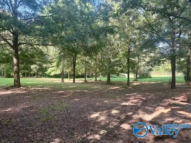 Lot 1 County Road 547, Rogersville, AL 35652 - #3